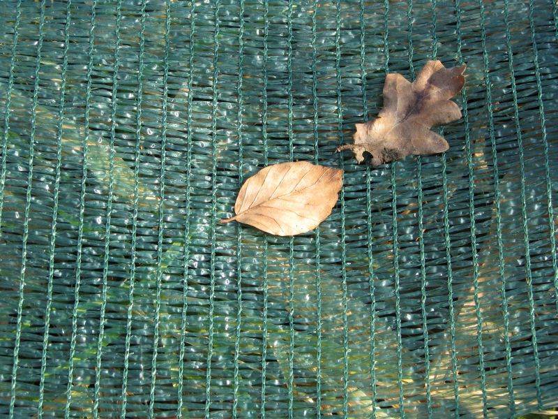 Teichnetz engmaschig