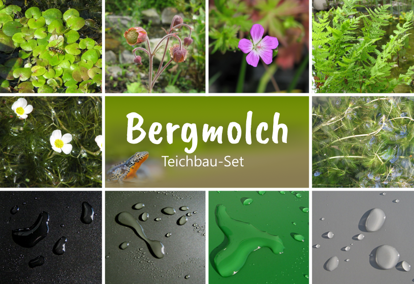 Fertigteich "Bergmolch"